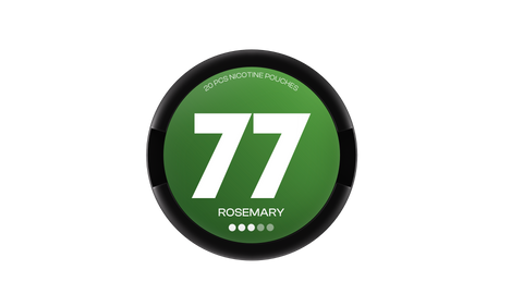 77 Nikotinbeutel Rosmarin